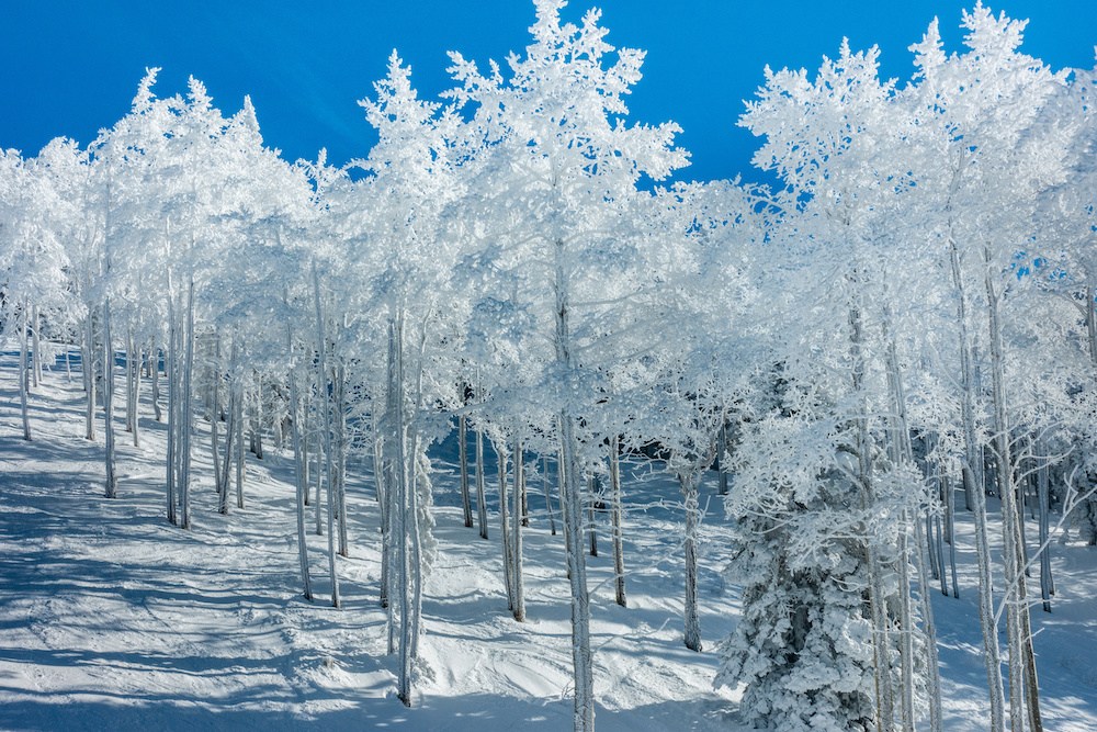 Spend Christmas in Steamboat Springs