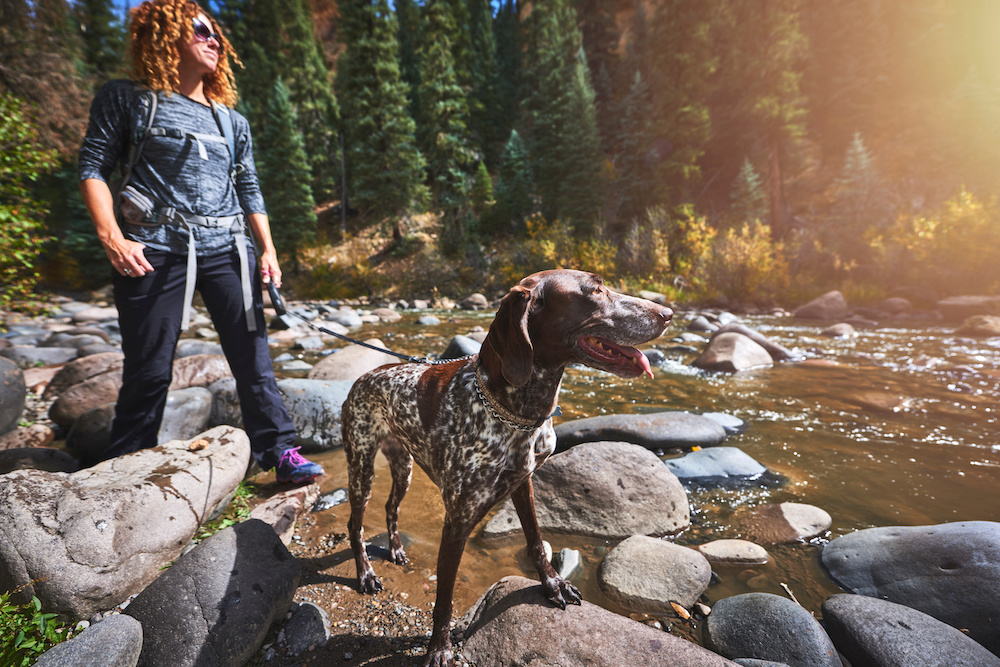 Woman hiking through river in Steamboat with dog