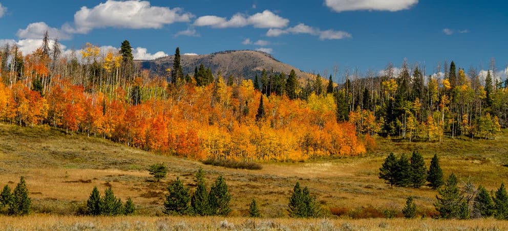 Steamboat fall colors
